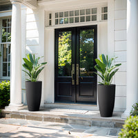 Black Concrete Planters (Set of 2)