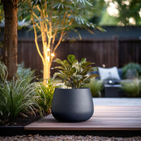 Charcoal Concrete Curved Planter