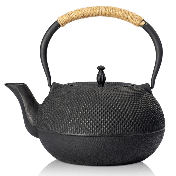 Cast Iron Tetsubin Teapot