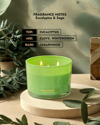 Eucalyptus & Sage Soy Candle