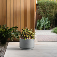 Gray Concrete Pedestal Planter