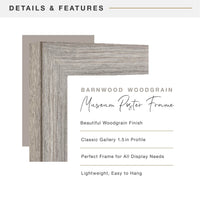 Barnwood Poster Frame (2)