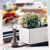 White Wooden Planter Box