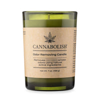 Wintergreen Odor-Eliminating Candle