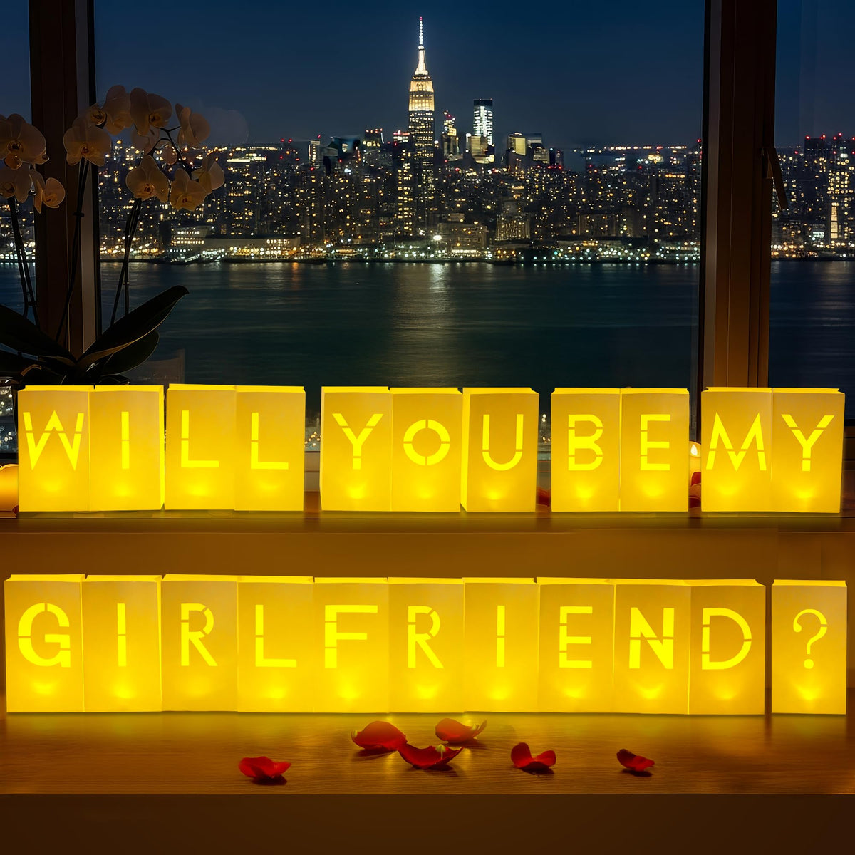 Light-Up Proposal Luminary