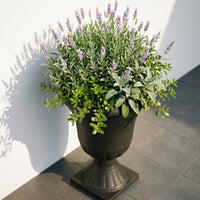 Black Urn Planters (Set of 2)