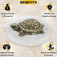 Pyrite Tortoise on Selenite Plate