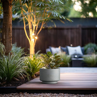 Gray Concrete Pedestal Planter