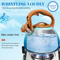 Ocean Blue Whistling Kettle