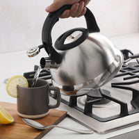 Brushed Steel Tea Kettle