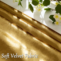 Gold Velvet Throw Pillow Cover (Set of 2)