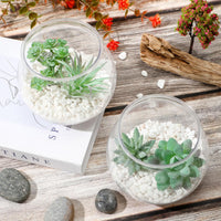 Clear Fish Bowl Vases (Set of 8)