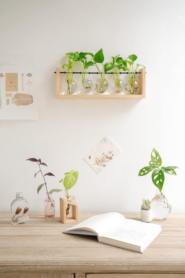 Beige Wood Propagation Stand