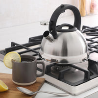 Brushed Steel Tea Kettle