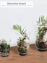 Clear Glass Hurricane Holder (Set of 3)