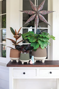 Greige Self-Watering Planter (Set of 3)