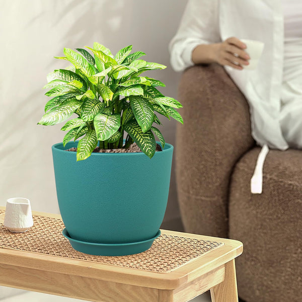 Blue-Green Planters with Tray (Set of 3)