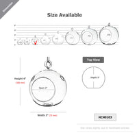 Clear Glass Terrarium Globe (Set of 6)