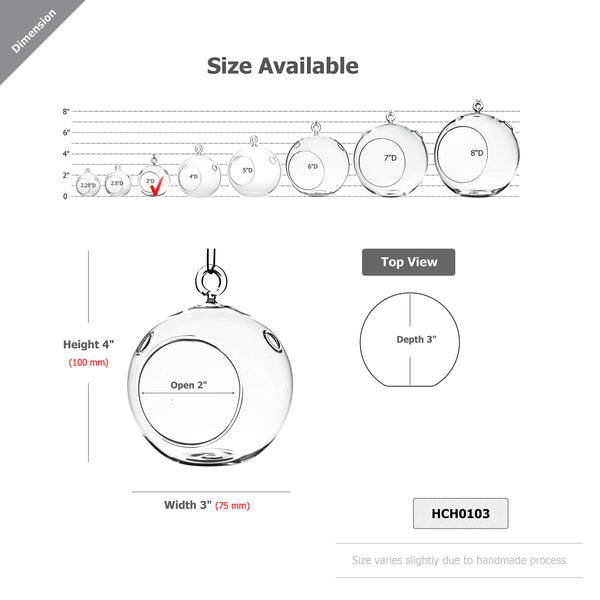 Clear Glass Terrarium Globe (Set of 6)