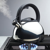 Whistling Steel Tea Kettle