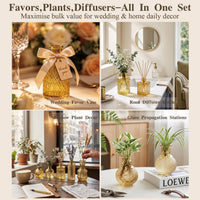 Topaz Glass Bud Vases (Set of 24)