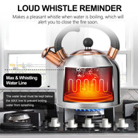Silver Whistling Tea Kettle