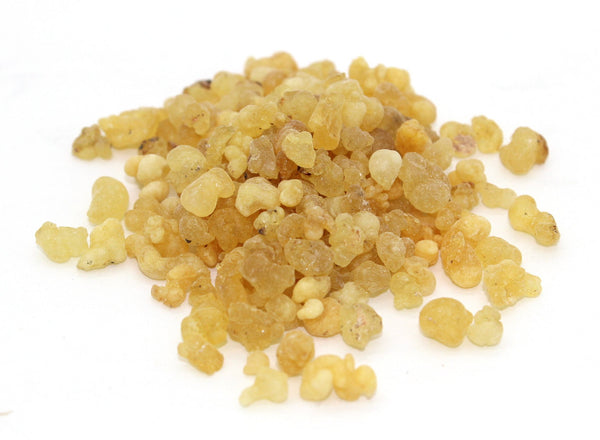 Frankincense Tree Resin
