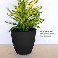 Black Planter With Saucer