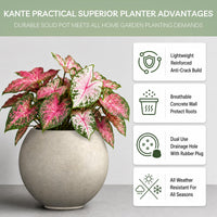 Weathered Concrete Sphere Planter