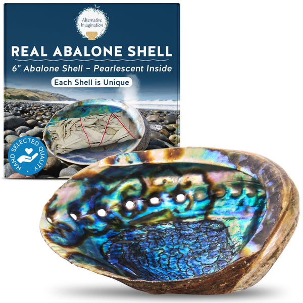 Abalone Shell Incense Dish