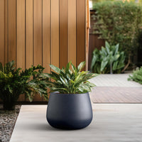 Charcoal Concrete Curved Planter