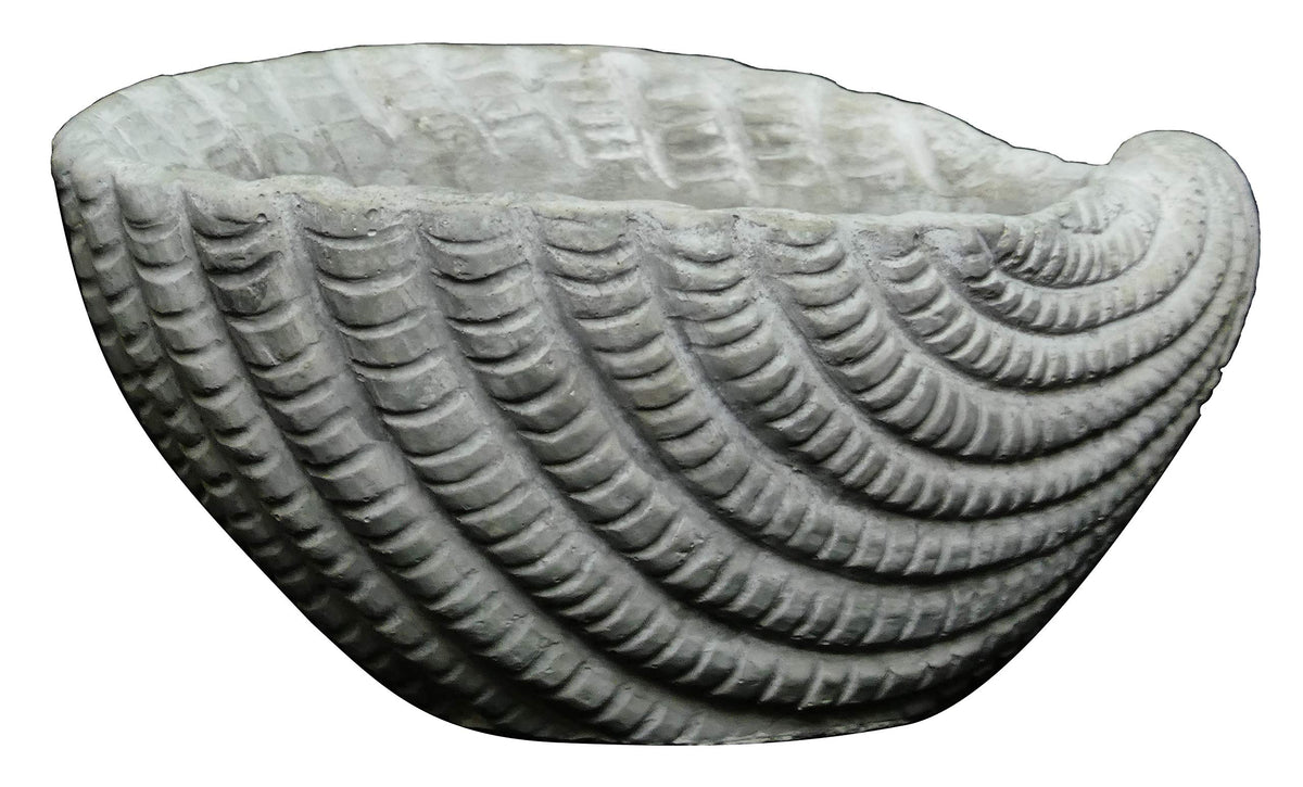 Gray Cement Seashell Planter