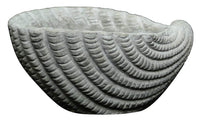 Gray Cement Seashell Planter