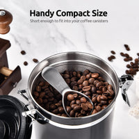 Steel Measuring Scoops (Set of 2)
