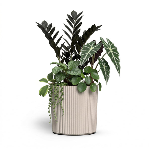 Chai Fluted Round Planter