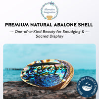 Abalone Shell Incense Dish
