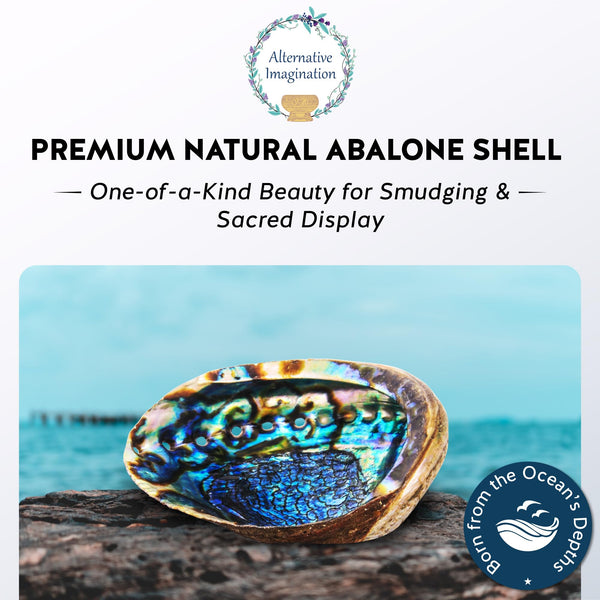 Abalone Shell Incense Dish