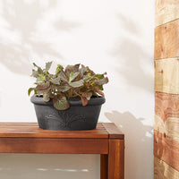 Charcoal Bulb Pan Planter