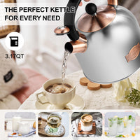Silver Whistling Tea Kettle