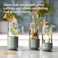 Glass Propagation Vase (Set of 3)