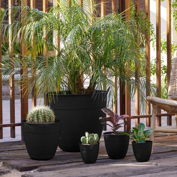 Black Planter With Saucer