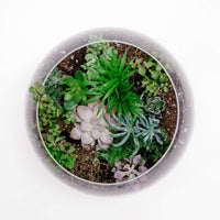 Clear Glass Bubble Vase