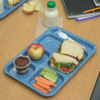 Sandshade Cafeteria Tray (Set of 12)