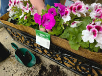 Natural Coco Planter Liner