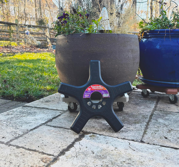 Black Rolling Plant Caddy
