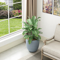 Blue-Gray Concrete Bowl Planter