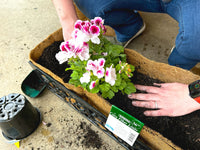 Natural Coco Planter Liner