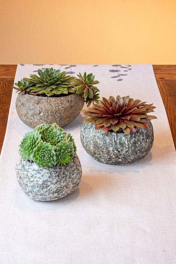 River Stone Planter