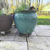 Black Rolling Plant Caddy