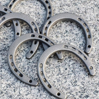 Cast Iron Horseshoes (Set of 12)